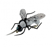 JENZI Insektenimitat, Gr. XL, Sortiment F