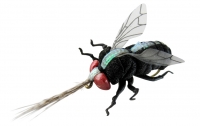 JENZI Insektenimitat, Gr. XL, Sortiment F