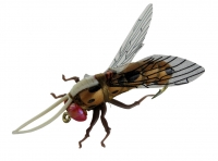 JENZI Insektenimitat, Gr. XL, Sortiment F