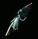 DEGA Shrimp-Fly, Hakengröße: 1/0, Farbe: schwarz/silber